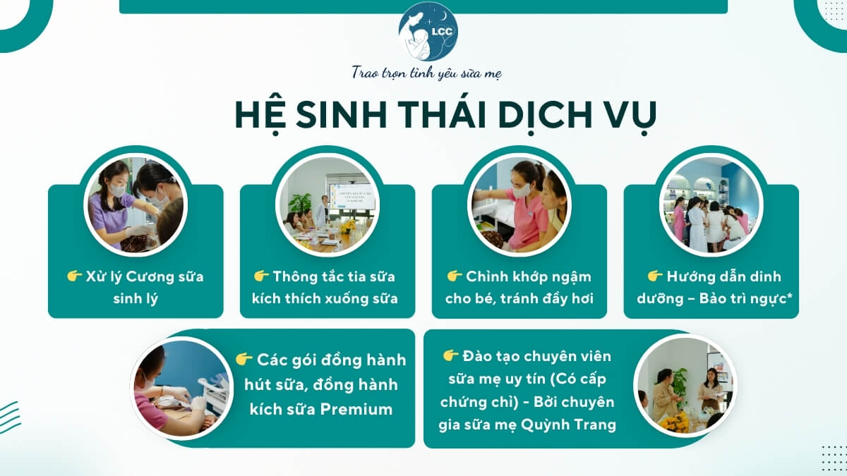 Thong Tia Sua O Da Nang