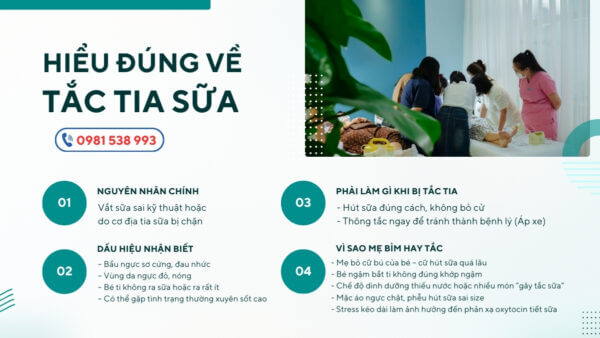 Thong Tia Sua Tai Nha Da Nang